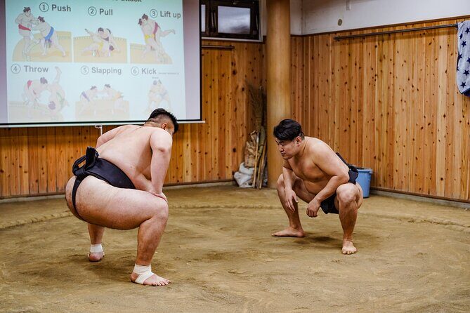 Authentic Sumo Experience in Tokyo : Enter the Sanctuary - What to Expect from the Itinerary