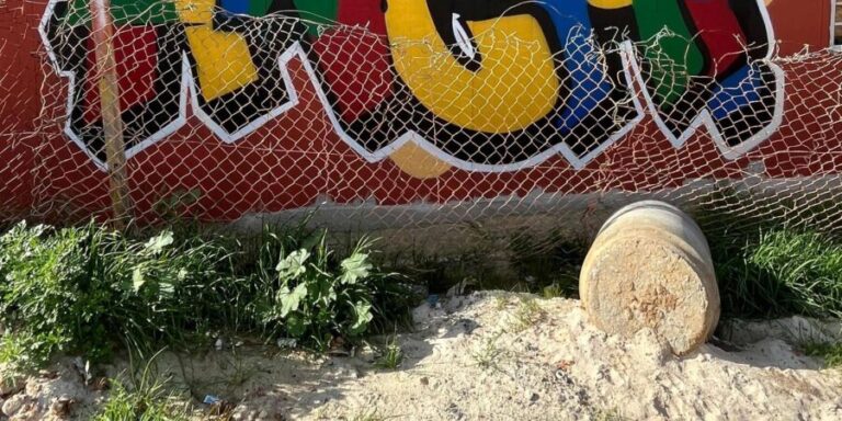 Authentic Township Tour Cape Town - Why This Tour Matters for the Traveler
