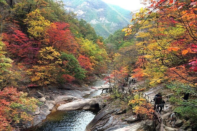 Autumn Foliage-Mt. Seorak, Sokcho Beach, Market, Observatory - The Experience: What Travelers Are Saying