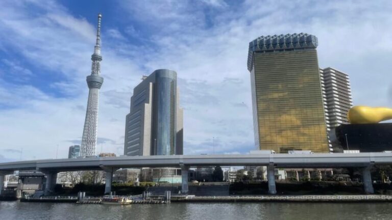 Awesome Private Tour: Tsukiji, Asakusa, Shinjuku, Shibuya - Itinerary Breakdown: A Deep Dive