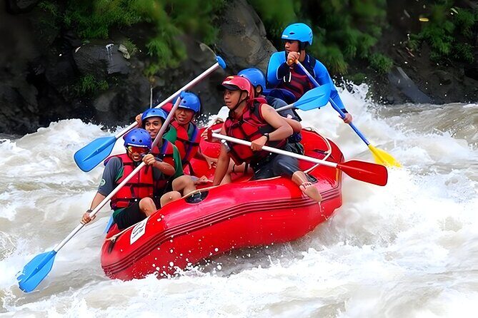 Ayung River Rafting - Ubud Best White Water Rafting - Detailed Breakdown of the Tour