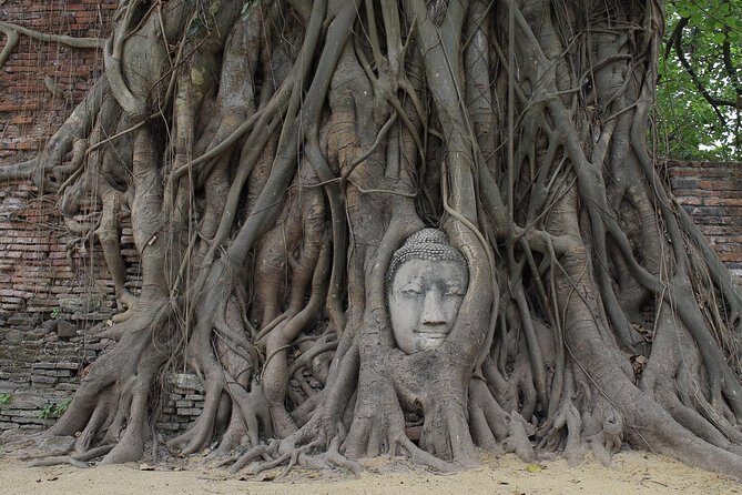 Ayutthaya Day Tour By Coach and Cruise - Practical Tips for Your Day