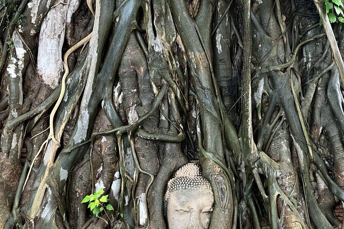 Ayutthayas Hidden Gems: Small Group Tour with Car & Local Guide - Lunch: Thai Home-Style Dishes by a Lotus Pond