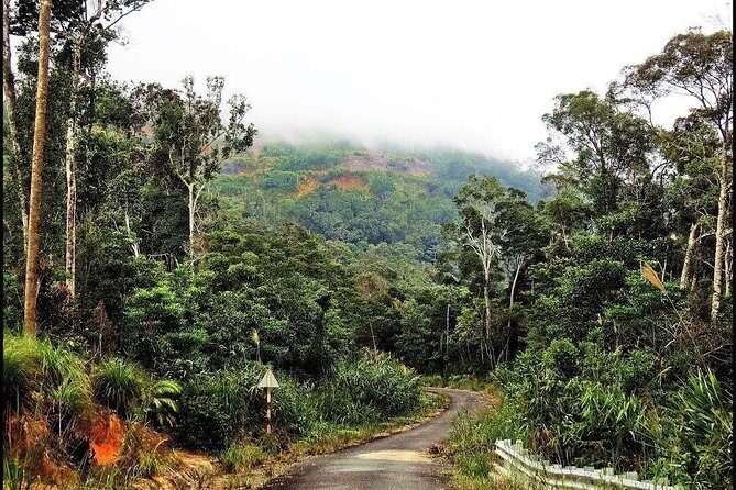 Ba Ho waterfalls ( Trekking + Swimming + Jumping +Amazing Nature) - Why This Tour Offers Great Value