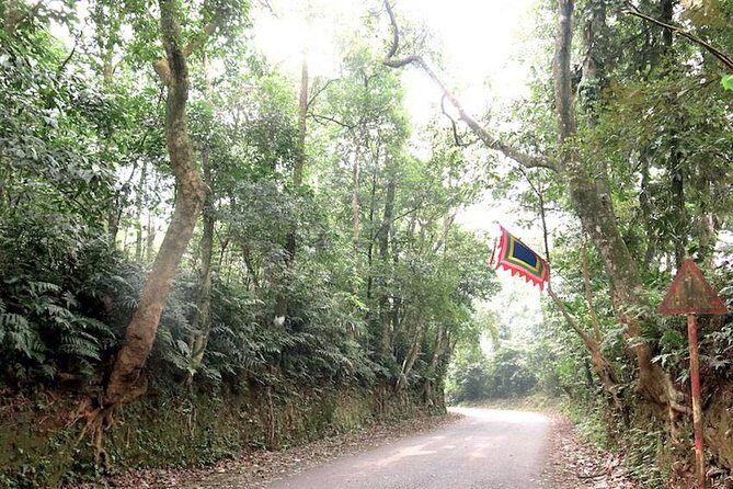 Ba Vi National Park Private Tour: Sightseeings & Jungle Hikking - Hiking and the Mountain Peak