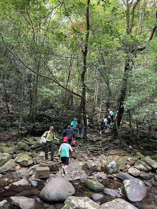 Bach Ma National Park Private Tour With Trekking, Waterfall - Why This Tour Is a Great Value