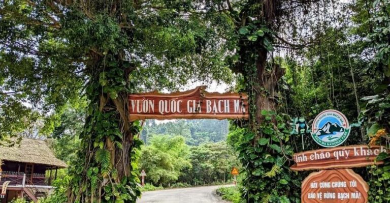 Bach Ma National Park Trekking Tour From Hue/Da Nang/Hoi An - Authentic Experiences and Tips