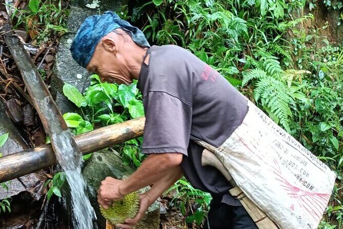 Baduy Tribal Tracker and Village in Private Tour Full Day & Lunch - Who Will Love This Experience?
