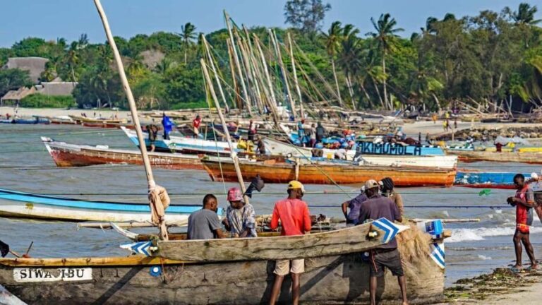 Bagamoyo day trip tour from Dar-es-Salaam by luxury car - The Sum Up: Is It Worth It?