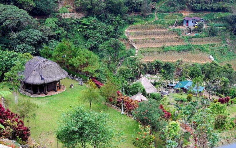 Baguio Whole Day Tour with Lunch (Private Tour) - Transportation, Timing, and Group Size