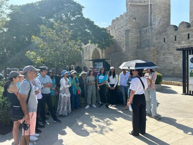 Baku: Historic and Modern Baku Tour ( Day & NIght Tour) - The Night Perspective
