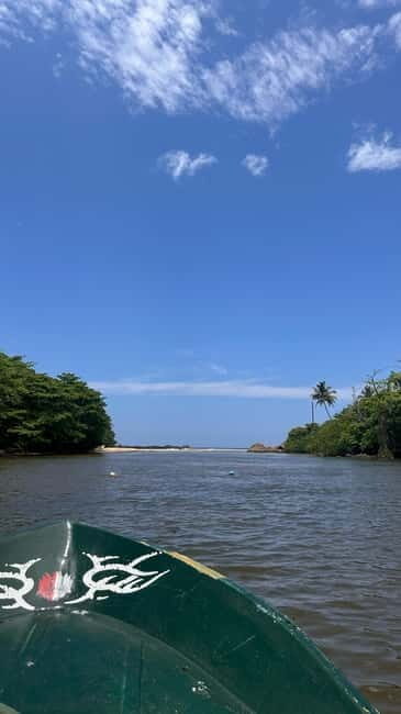 Balapitiya: Madu River Boat Tour - The Practical Details