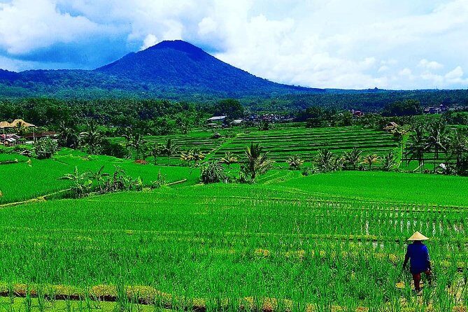 Bali Ancient Temples Tour - Who Will Love This Tour?