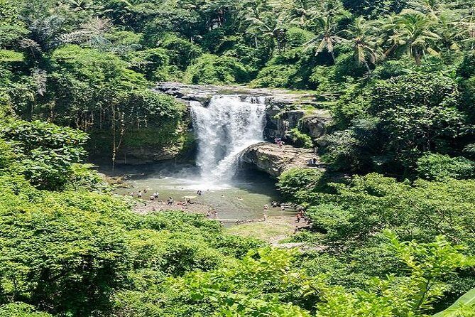 Bali Art Shopping and Culture Tour - Who Should Consider This Tour?