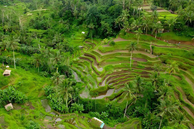 Bali ATV Ride And Ubud Tour Packages : Best Quad Bike Trip - The Sum Up: Who Will Love This Tour?