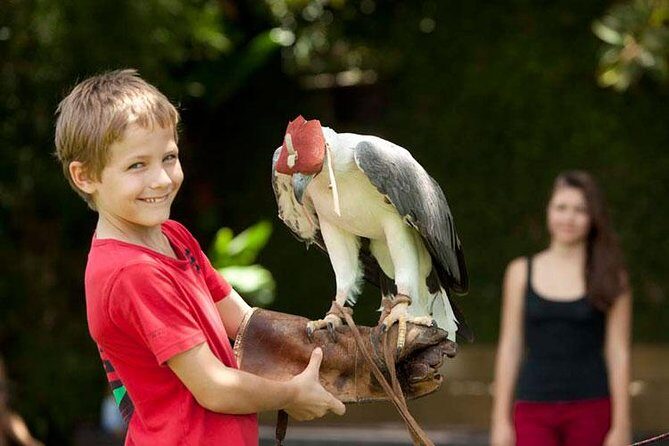 Bali Bird Park Admission Ticket with Hotel Transfer - Who Is This Tour Best For?