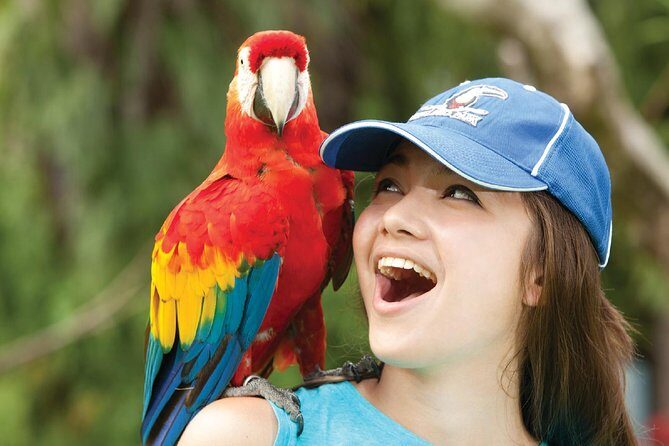 Bali Bird Park Admission Ticket - What Visitors Say