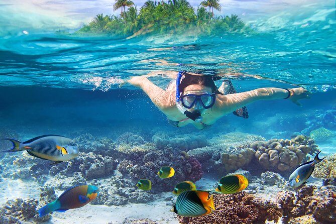 Bali Blue Lagoon Snorkeling Experience - Exploring Bali’s Underwater Beauty