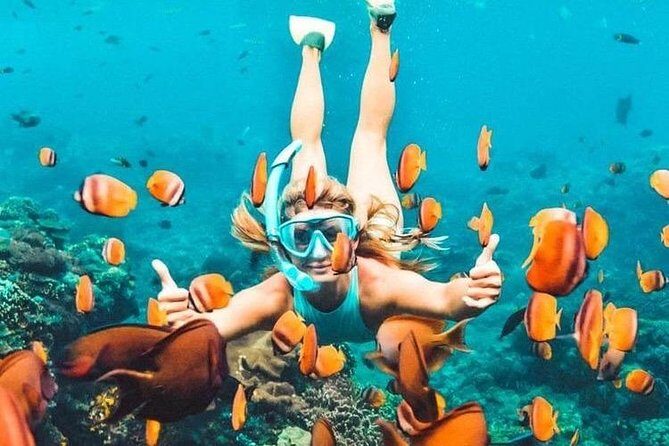 Bali Blue Lagoon Snorkeling - Lunch and Transport All Inclusive - Practical Details and What You’ll Experience