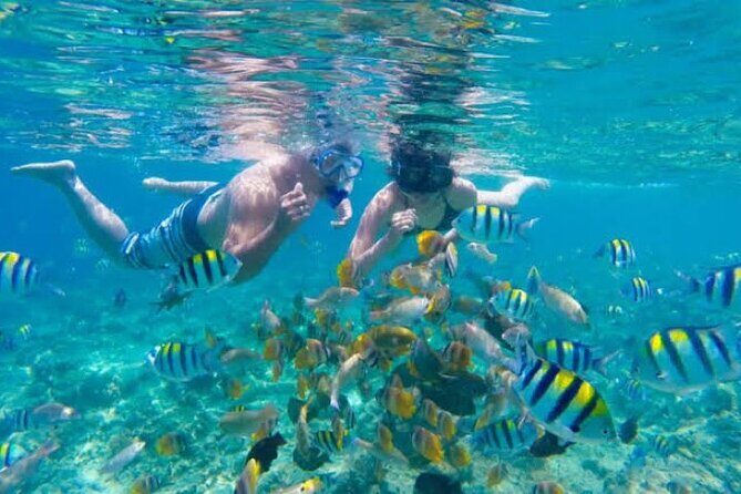 Bali Blue Lagoon Snorkeling with Private Transfer & Lunch - The Itinerary in Detail