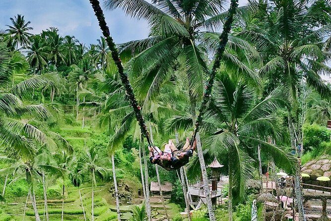 Bali Culture and Choose Your Bali Tour Route in Bali with Bali driver-Free WIFI - The Sum Up