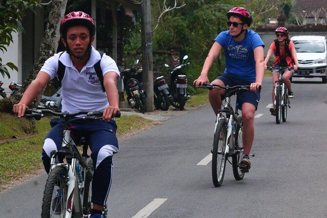 Bali Downhill Cultural Cycling Tour - Who Will Appreciate It?