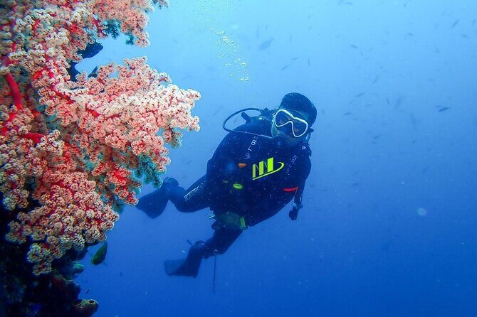 Bali Full Day Experience Scuba Diving Tour at Tulamben - Why This Tour Stands Out