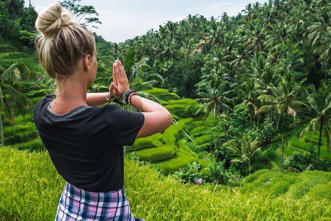 Bali Full Day Tour: Highlights of Ubud and Hidden Waterfall - What’s Included and What to Consider