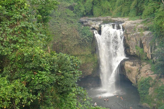 Bali Full-Day Traditional Village Sightseeing Trip All Inclusive - Who Should Book This Tour?