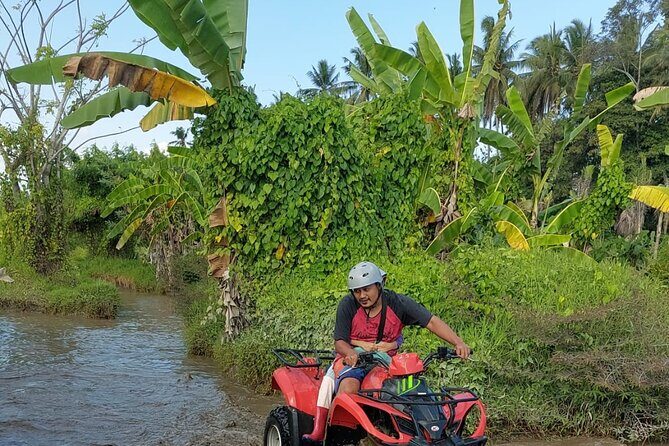 Bali Fun Adventure ATV in Ubud Village - Who Will Appreciate This Tour?