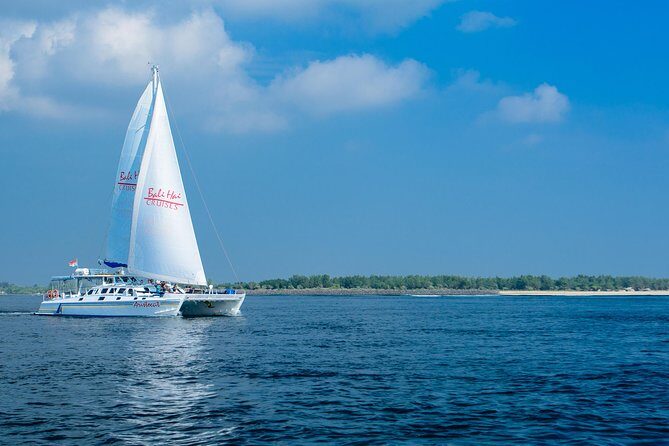 Bali Hai - Aristocat Sailing Cruise - Who Is This Tour Best For?