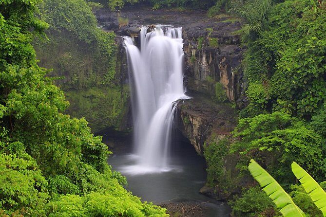 Bali Highlights Private Tour with Elephant Cave and Rice Field - Practical Details and Tips