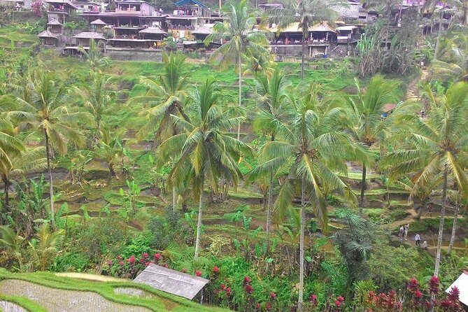 Bali Hindu temple, Rice terrace, Waterfall -All Inclusive - What Makes This Tour Special?