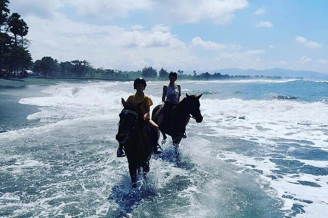 Bali Horse Riding Trot & Canter Saba Beach with Local Temple - Authentic Feedback from Riders