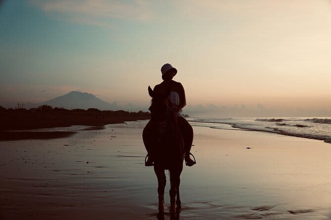 Bali Horse Riding Trot & Canter Sanur Beach include Transport - What To Expect and Practical Tips