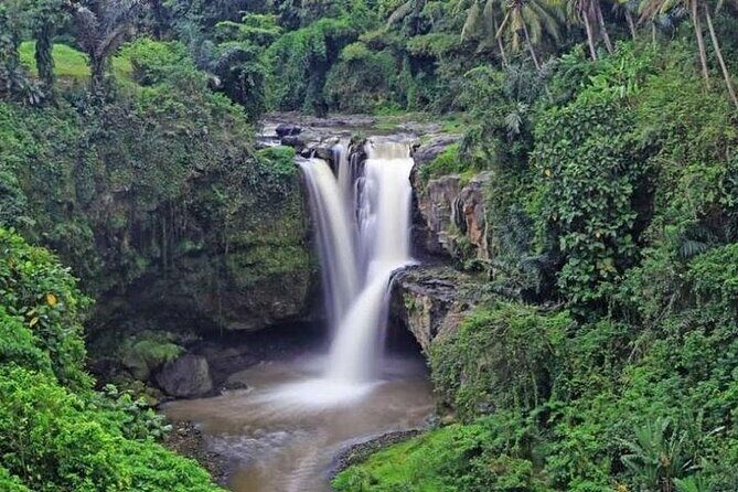 Bali Inclusive Tour: Best Waterfalls Around Ubud Area - The Value Proposition
