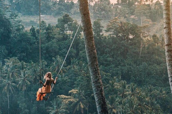 Bali Instagram Most Iconic Spots Private Tour - An In-Depth Look at the Tour Experience