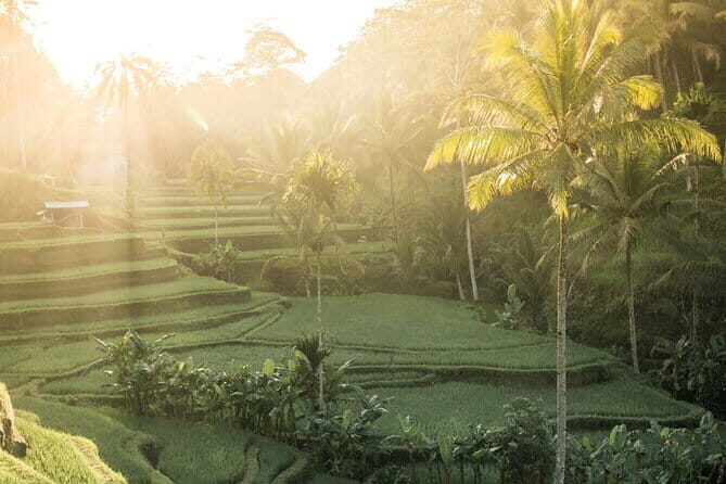 Bali: Lempuyang Temple, Waterfall & Rice Terrace Private Tour - Authentic Experiences and Photographic Opportunities