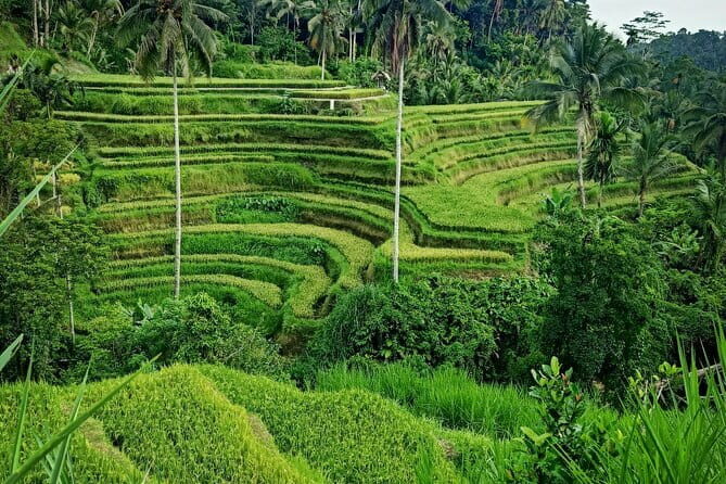 Bali Lempuyang Temple, Waterfall with Rice Terrace Tour - Final Thoughts