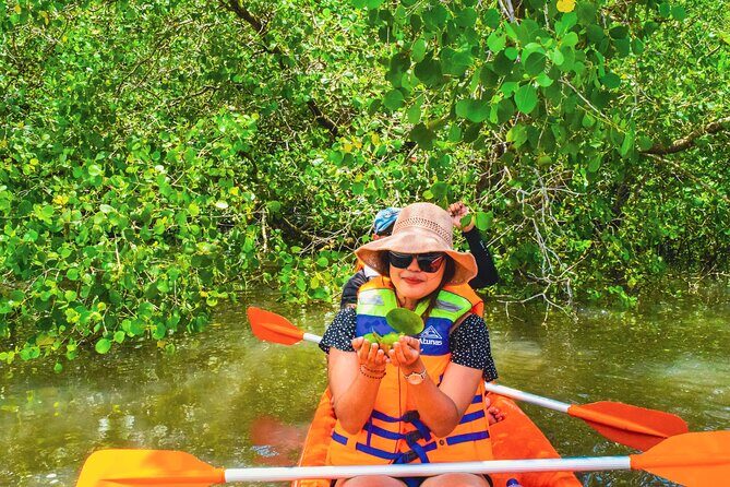Bali Mangrove Canoeing Tour - Supporting Local Communities and Conservation
