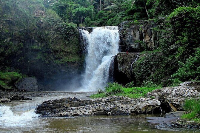 Bali Private Car Charter With English Speaking Driver - Why This Tour Is a Great Choice