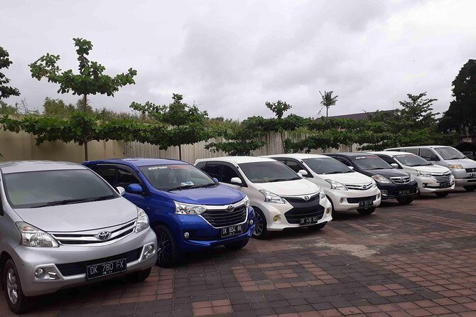 Bali Private Car Charter with English Speaking Driver - What to Expect from Your Driver and Vehicle