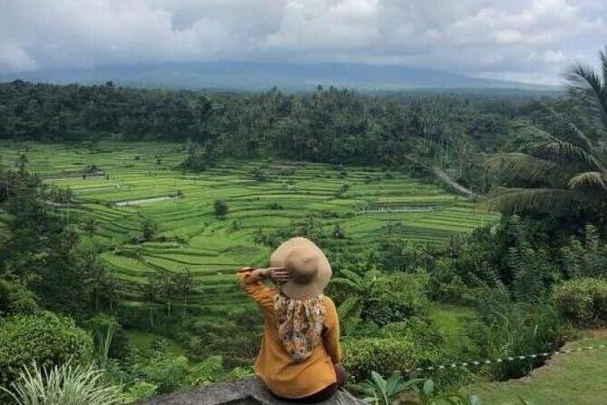 Bali Private Driver For Tour in Bali - Detailed Breakdown of the Itinerary