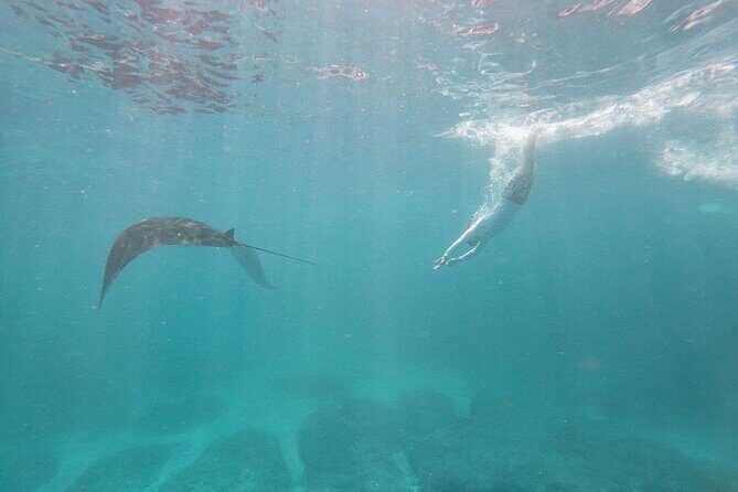 Bali Private Snorkeling (Manta, Gamat, Wall) and Nusa Penida Tour - Who Is This Tour Best For?