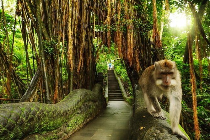 Bali Private Tour: Waterfall, Monkey forest and Tanah lot sunset - Comprehensive Review of the Bali Private Tour