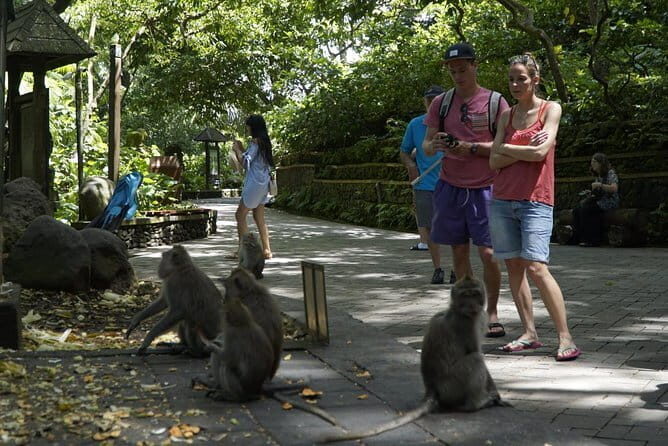 Bali Private Tour Waterfall with Tanah Lot Temple - Detailed Breakdown of the Tour Experience