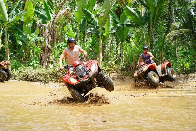 Bali Quad Bike Adventure - Monkey Forest and Tegenungan Waterfall - The Sum Up