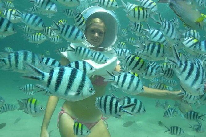 Bali Sea Walker - What Previous Travelers Say