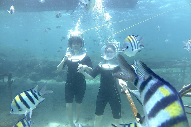 Bali Seawalker - The Value of Bali Seawalker