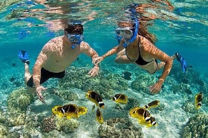 Bali Snorkeling at Blue Lagoon with Transport and Lunch - The Snorkeling Spots: Blue Lagoon and Tanjung Jepun